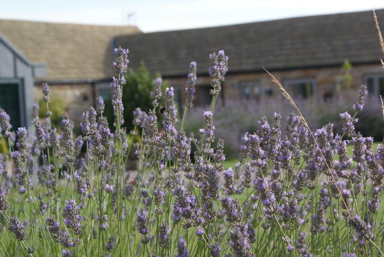 Harrogate Barns Villa Bagian luar foto